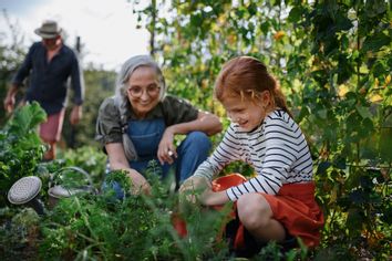 Grandmother with granddaughter working in garden together