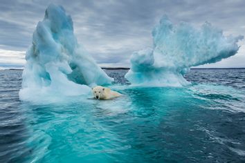 Polar Bear; Iceberg; Arctic Circle