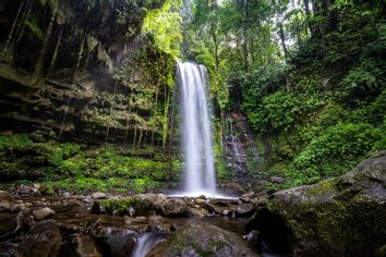 Waterfall in Green Forest