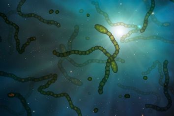 Microbes in space, illustration