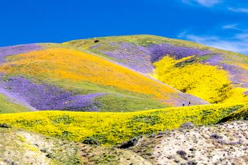 Carrizo Plain National Monument