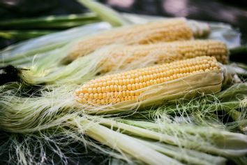 Fresh ear of corn