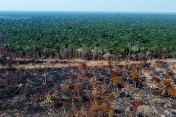 Amazon Deforestation Fire