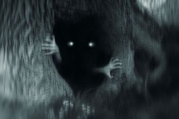 A spooky horror concept of a monster with glowing eyes, hiding in a tree trunk, in a dark spooky forest.