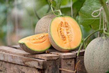 Japanese watermelons or cantaloupe