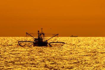 Bottom Trawler Fishing Boat