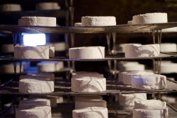 Wheels of cheese on a wire rack
