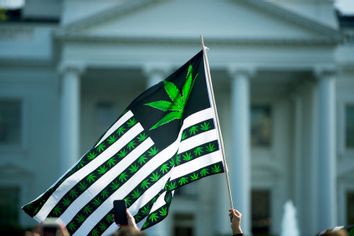 marijuana legalization rally outside white house