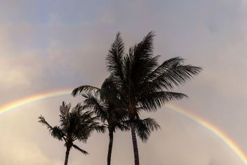 Rainbow Lahaina Hawaii