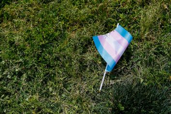 A transgender flag sits on the grass