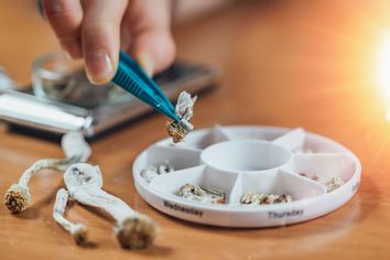 Magic Mushrooms in a Pill Box