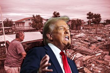 Donald Trump Florida Hurricane Helene damage