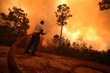 South Carolina Wildfire