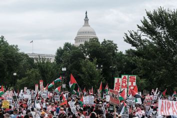 Pro Palestinian Gaza Protest Washington DC Capitol