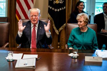 Donald Trump; Linda McMahon