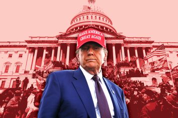Donald Trump January 6 Capitol Riot