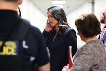 Tulsi Gabbard