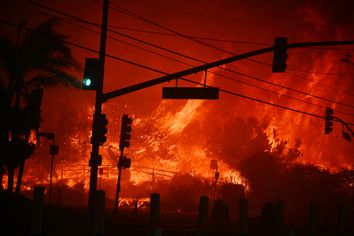 Palisades Fire California Wildfire