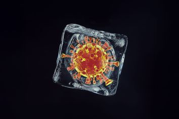 Virus spore in an ice cube
