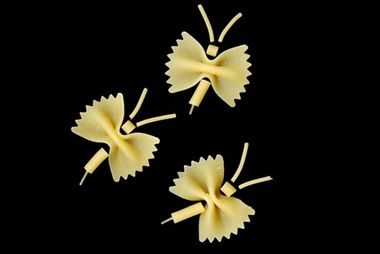 Image for How many bugs are allowed in your pasta? Reading the FDA's Food Defect Action Levels