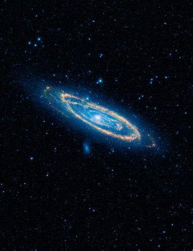 WISE Infrared View of Andromeda Galaxy and Companions