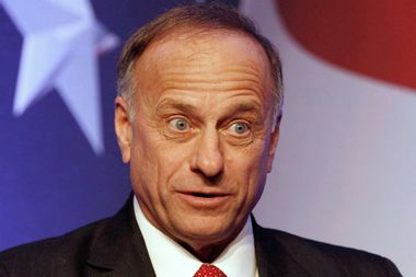 Image for Tea Party hero Steve King challenges Sen. Chuck Schumer to a 