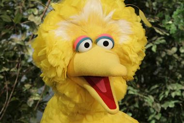 Image for You do not mess with Big Bird