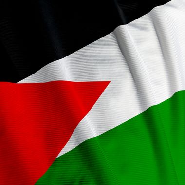 Image for Palestine poised for U.N. recognition