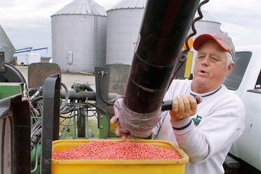 Image for How Monsanto outfoxed the Obama administration