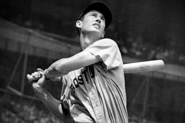 Image for Ted Williams: Secrets of baseball's greatest hitter -- and an unsung hero on race