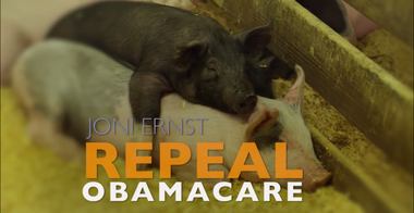 Image for GOP Senate candidate highlights pig-castrating experience in new ad