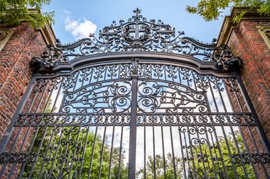 Image for You too might know a “Loner”: Why Teddy Wayne's Harvard-set novel should be required reading this year