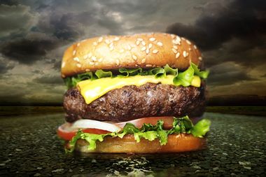 Image for The food industry's hiding something: How to expose America's most secretive industry