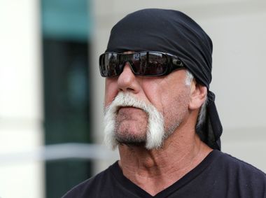 Terry Bollea, Hulk Hogan