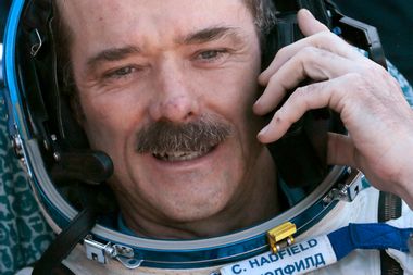 Image for Celebrated astronaut Chris Hadfield: Curiosity is 