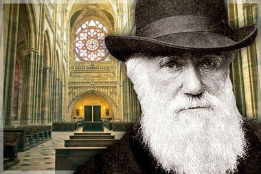 Image for The truth about Darwin and God