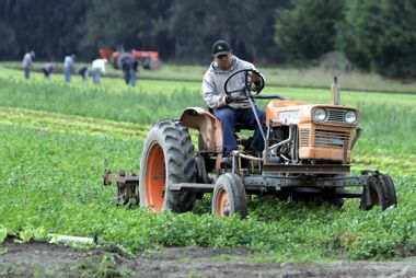 Food And Farm Pesticide Fight