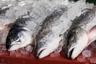 Image for Presidential task force announces sweeping new rule to combat seafood fraud