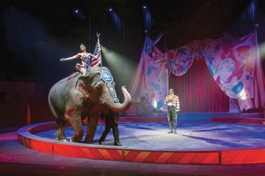 Ringling Bros Circus Elephants Photo Gallery