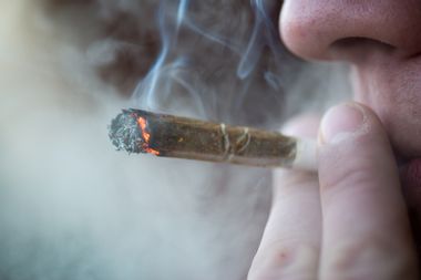 Image for Soon we'll all be getting high: The end of marijuana prohibition is closer than you think