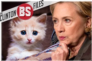 Hillary Clinton; Kitten