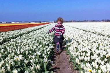 Image for Life in the expat bubble: How a language barrier helped me live in blissful isolation