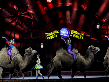 Image for WATCH: Big top no more: Ringling Brothers shuts down, animal rights advocates rejoice