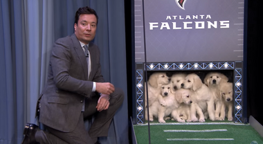 Image for WATCH: Puppies help Jimmy Fallon predict the upcoming winners of the Super Bowl