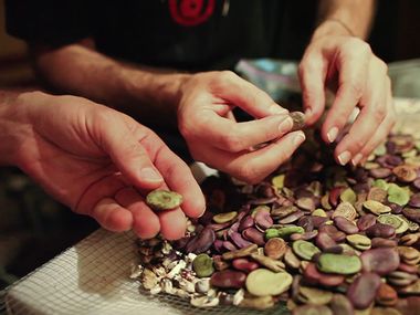 Image for WATCH: Can the future of food in America be as simple as one seed? Maybe