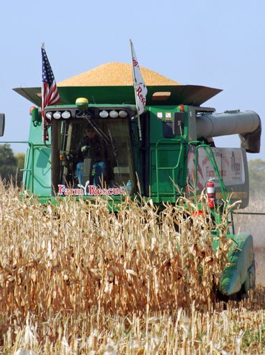 Food and Farm Farm Rescue