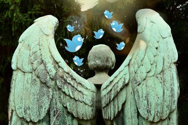 Angel Tweeting