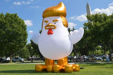 Trump Inflatable Chicken