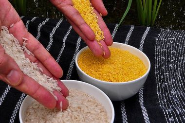 Image for Another problem with China’s coal: Mercury in rice
