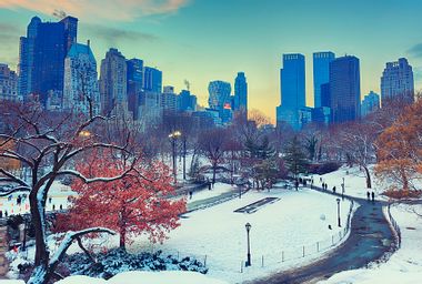 Winter in Central Park NYC